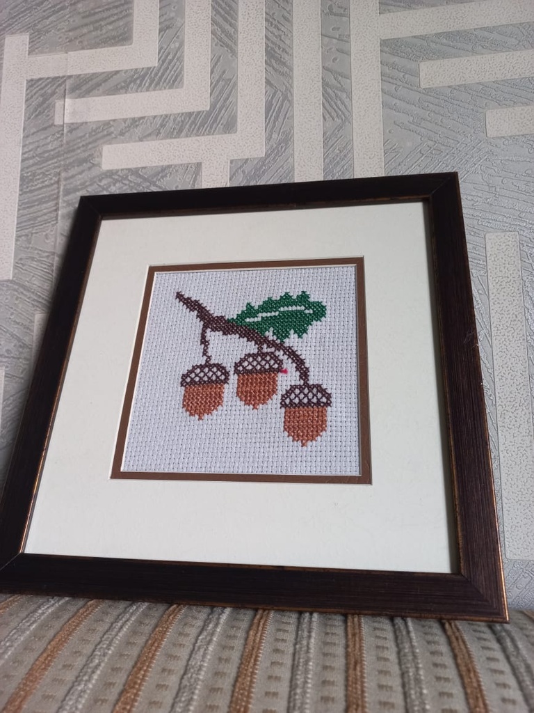Acorn