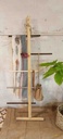 Asymmetrical Ladder