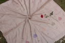 Swati Khaddi Embroidered Wool Shawl