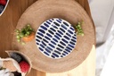 Test Blue Pottery Rice Dish