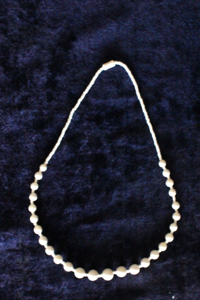 Camelbone Necklace
