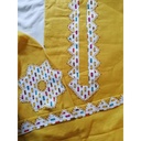 Aplic Shirt Unstitched