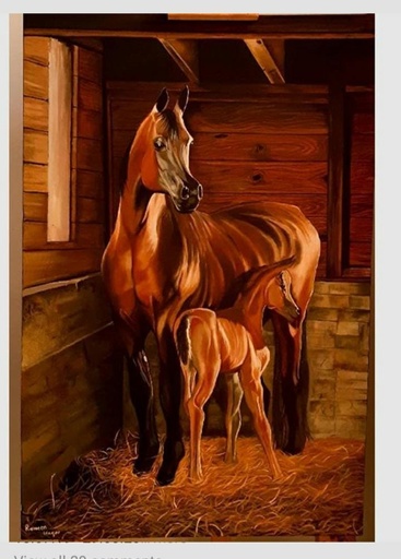 [PK2880-AR-PAI-009287] Horses