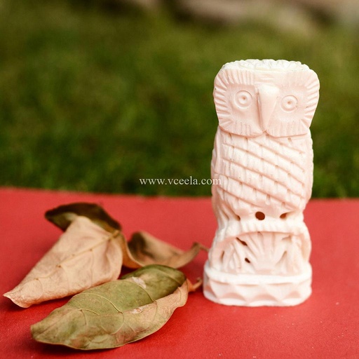 [PK0075-CF-BON-009474] Camel Bone Hand Craf