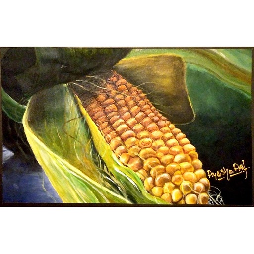 [PK3250-AR-PAI-010357] A Corn