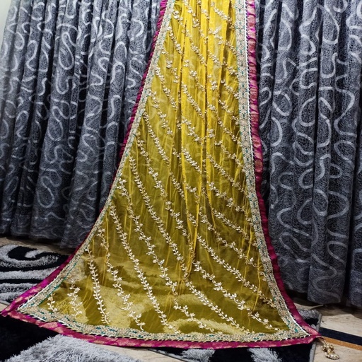 [PK3342-CW-PRT-010624] Mehndi or nikkah dupatta