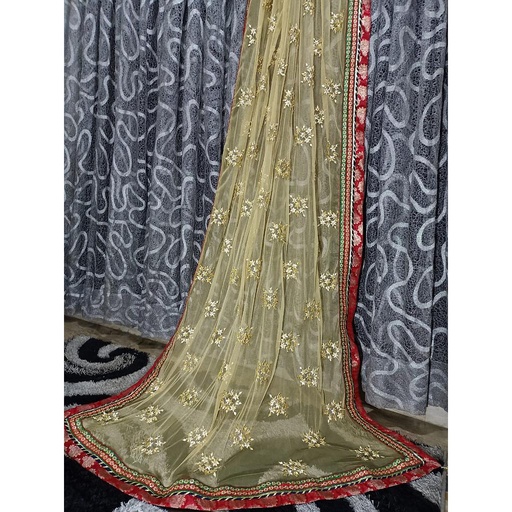[PK3342-CW-SCF-010625] Beautiful Dupatta for formal use