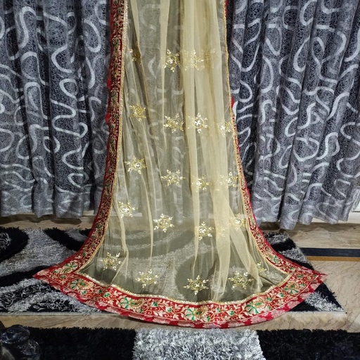 [PK3342-CW-SCF-010733] Mehndi dupatta