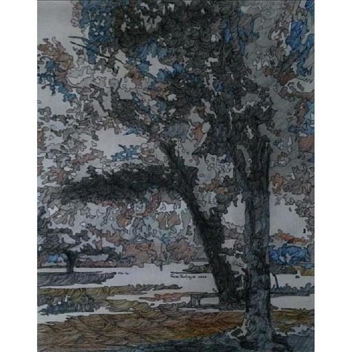 [PK3113-AR-PAI-012350] Nature
