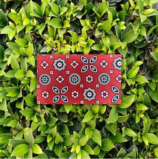 [PK3932-GN-GEN-012420] Envelope- Ajrak