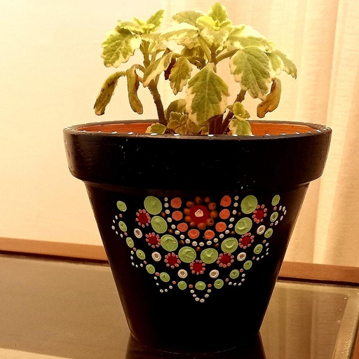 [PK4099-HM-GEN-012537] Terracotta pot with Mandala Art