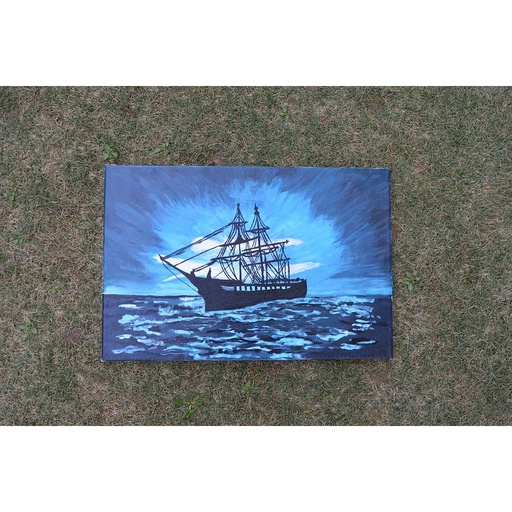 [PK4159-AR-ACR-014237] Lonely Ship