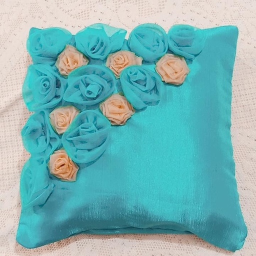 [PK5492-HM-CUS-015782] Cushion