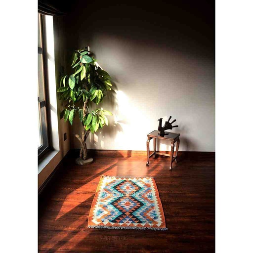 [PK3039-HM-RUG-019109] Hand Knotted Kilim