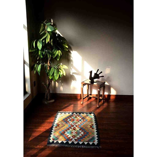 [PK3039-HM-RUG-019110] Hand Knotted Kilim - Duplicate