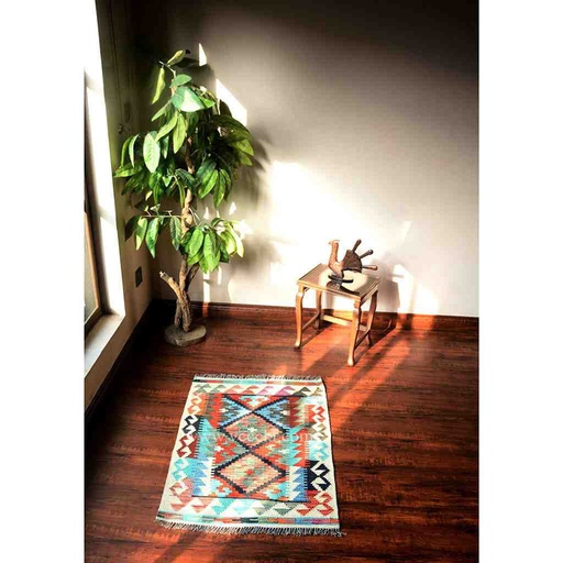 [PK3039-HM-RUG-019112] Hand Knotted Kilim