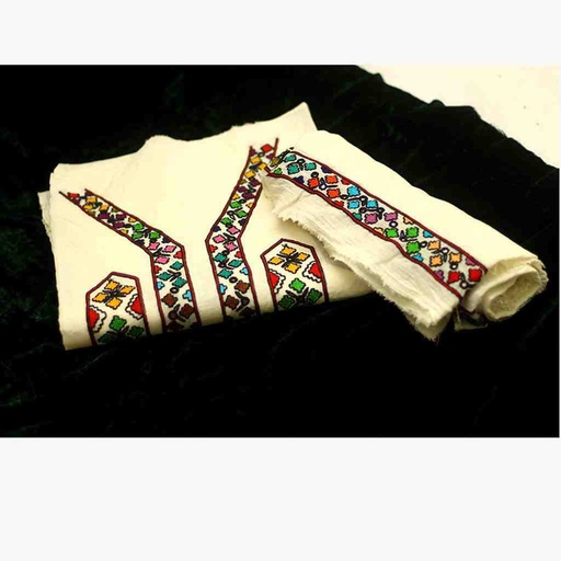 [PK0055-CW-UNS-019589] Hand Embroidered 2- Piece Shirt