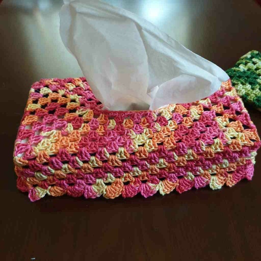 [PK5990-GN-GEN-019589] Tissue Box Cover