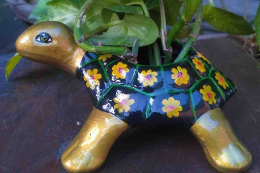 [010] Hand Painted Turtle