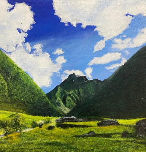 [PK8392-AR-ACR-028255] Acrylic Painting on Canvas Gilgit Baltistan