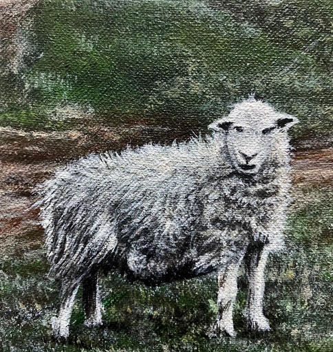 [PK8392-AR-ACR-028267] Sheep Acrylic Painting on Canvas