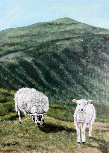 [PK8392-AR-ACR-028274] Sheep Painting on Canvas Sheet