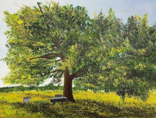 [PK8392-AR-PAI-028276] Oil Paint Tree Study on Canvas Sheet