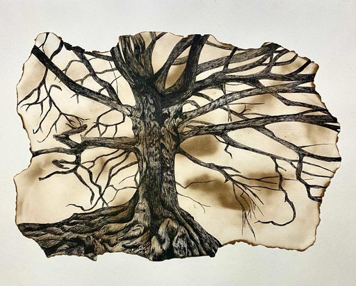 [PK8392-AR-DRW-028282] Ink Pen Drawing on Burnt Paper