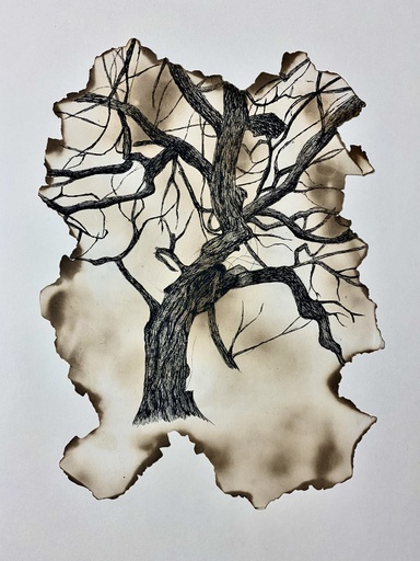 [PK8392-AR-DRW-028395] Tree Drawing on Burnt Paper