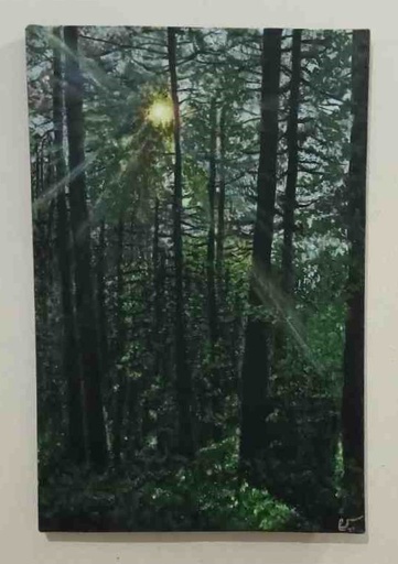 [PK8425-AR-ACR-028479] The Sunshine
