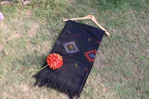 [PK8541-CW-SCF-028760] Swati Khaddi Embroidered Wool Shawl
