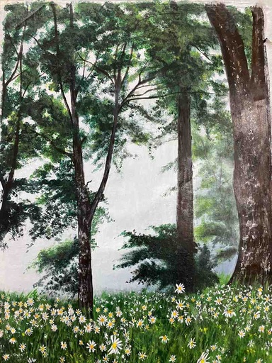 [PK8392-AR-ACR-028950] Foggy Morning and Field of Daisies