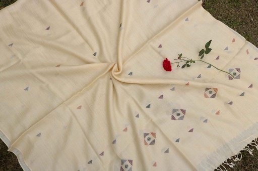 [PK8668-CM-SHW-029047] Swati Khaddi Embroidered Wool Shawl