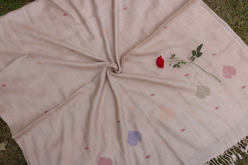 [PK8668-CM-SHW-029048] Swati Khaddi Embroidered Wool Shawl