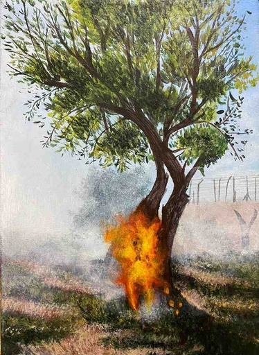 [PK8392-AR-ACR-029567] The Olive Tree Burns
