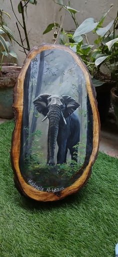 [PK4162-AR-DIM-029914] mighty jungle