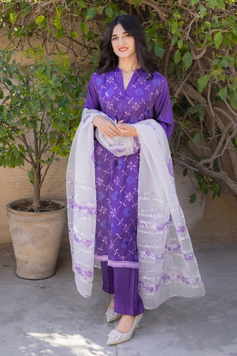 [11-kp-25] phulkari Silk Suit