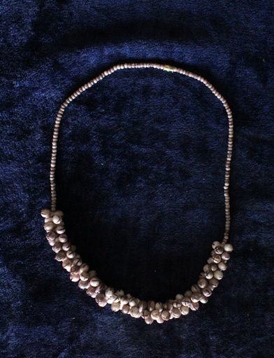 [PK0075-JW-NCK-000559] Camelbone Necklace