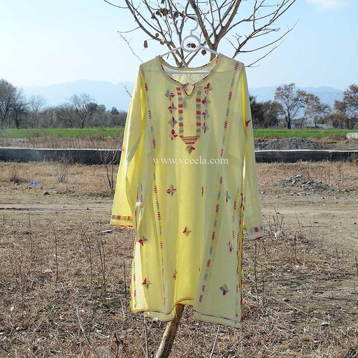 [PK0916-CW-PRT-005150] Phulkari Khadr Embroidered Kurta