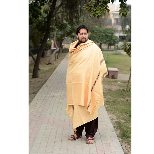 [PK1013-GN-GEN-005414] Hand Embroidered Shawl