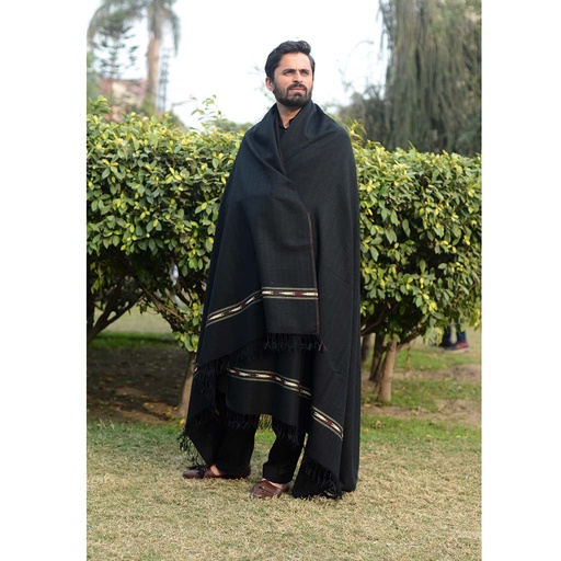 [PK1014-GN-GEN-005419] Hand Embroidered Shawl
